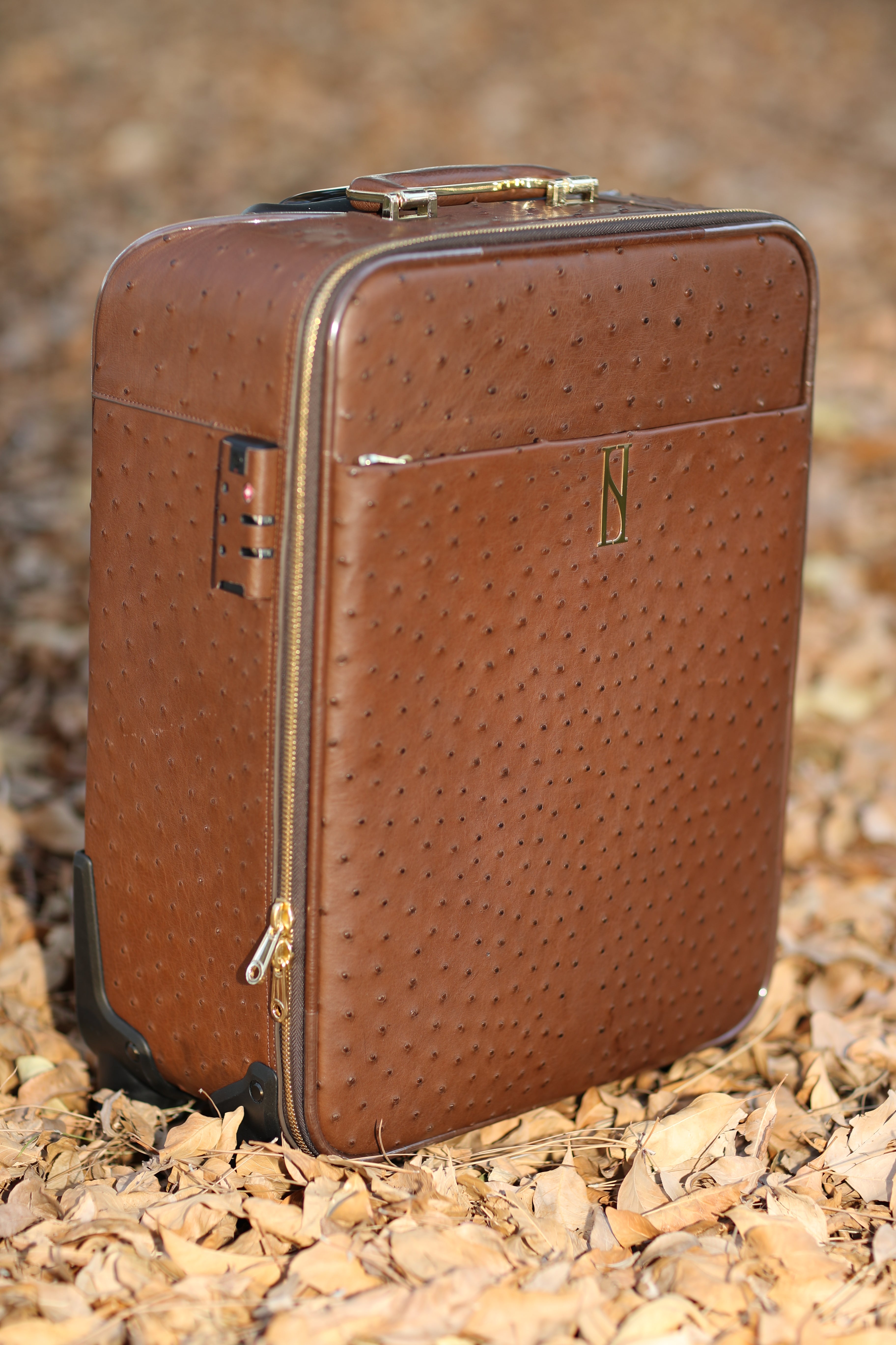 Buy Rare and Valuable Leader Luggage Online - Haute Skin