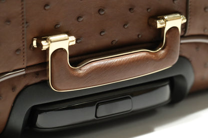 LEADER luggage in BROWN