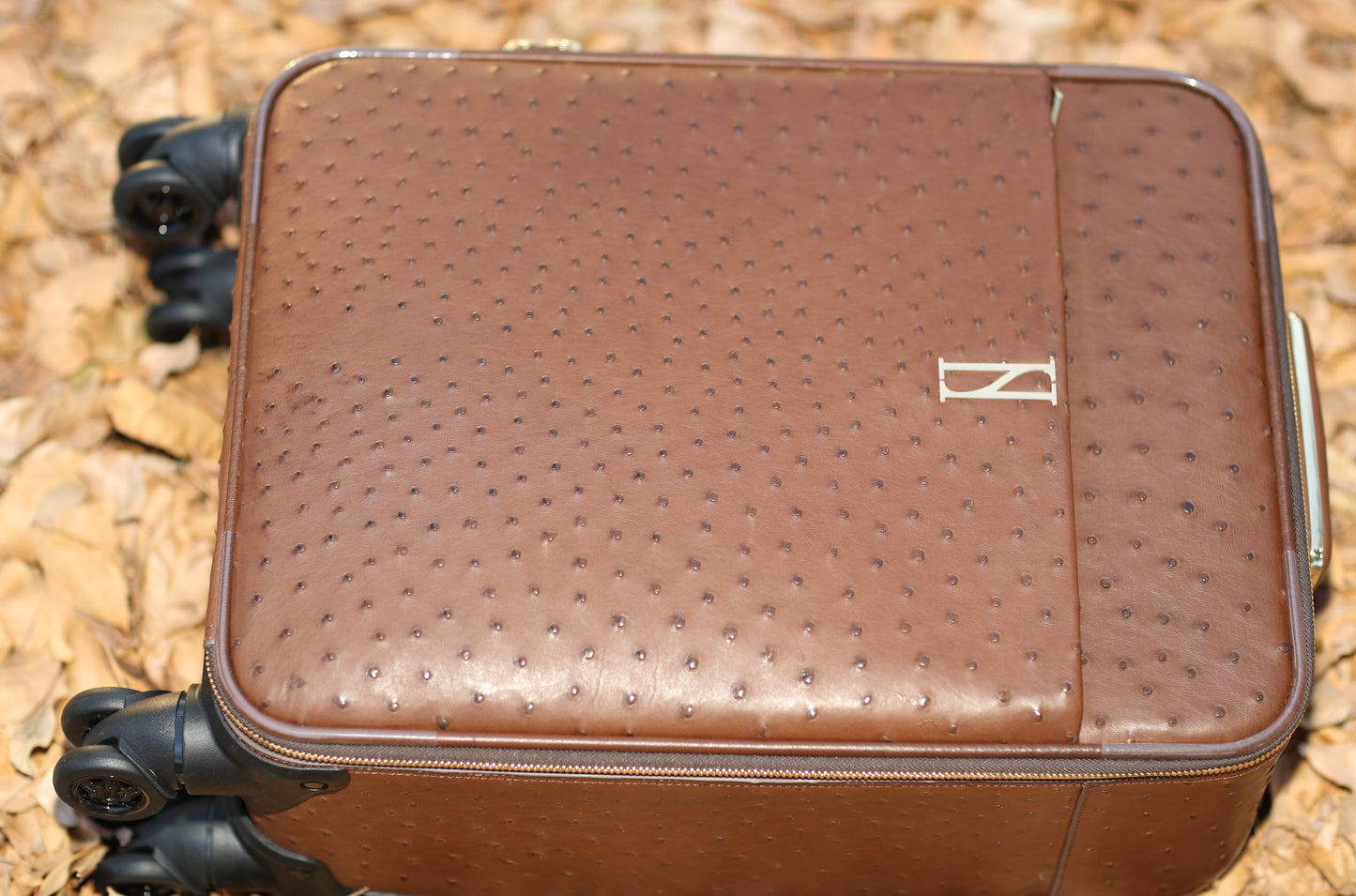 LEADER luggage in BROWN