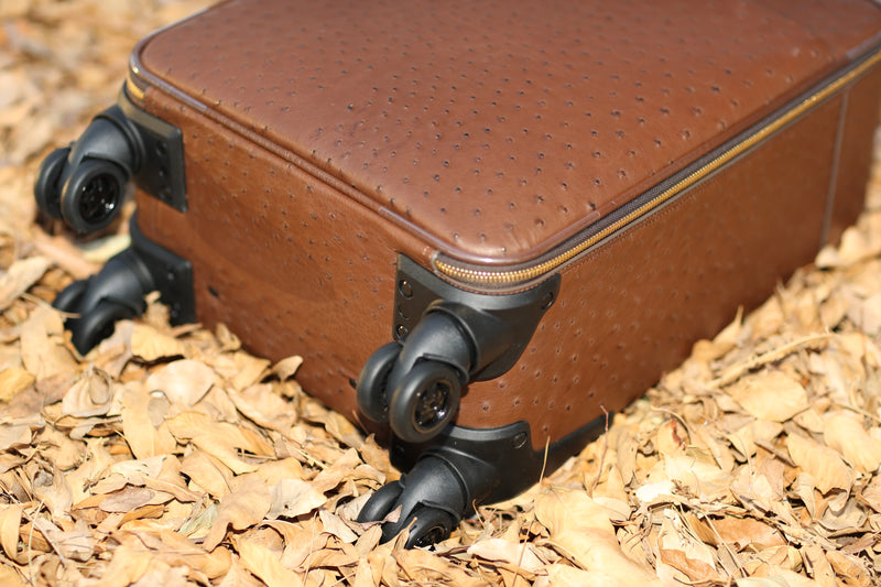 LEADER luggage in BROWN